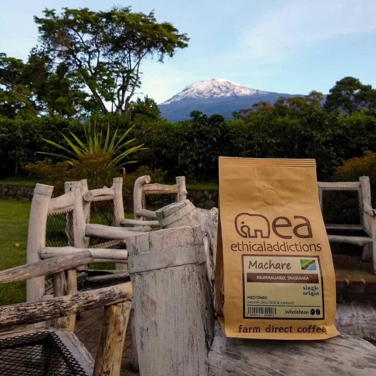 EA Coffee - Machare Kilimanjaro Beans