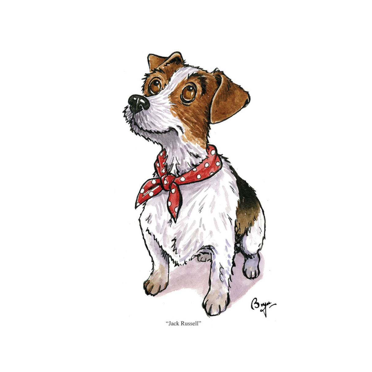 CSP Greetings Cards - Jack Russell