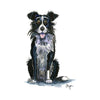 CSP Greetings Cards - Border Collie